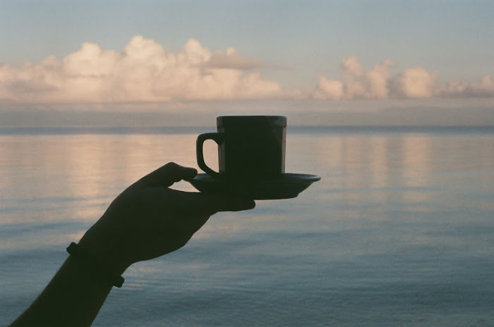 hand holding a cup of coffee