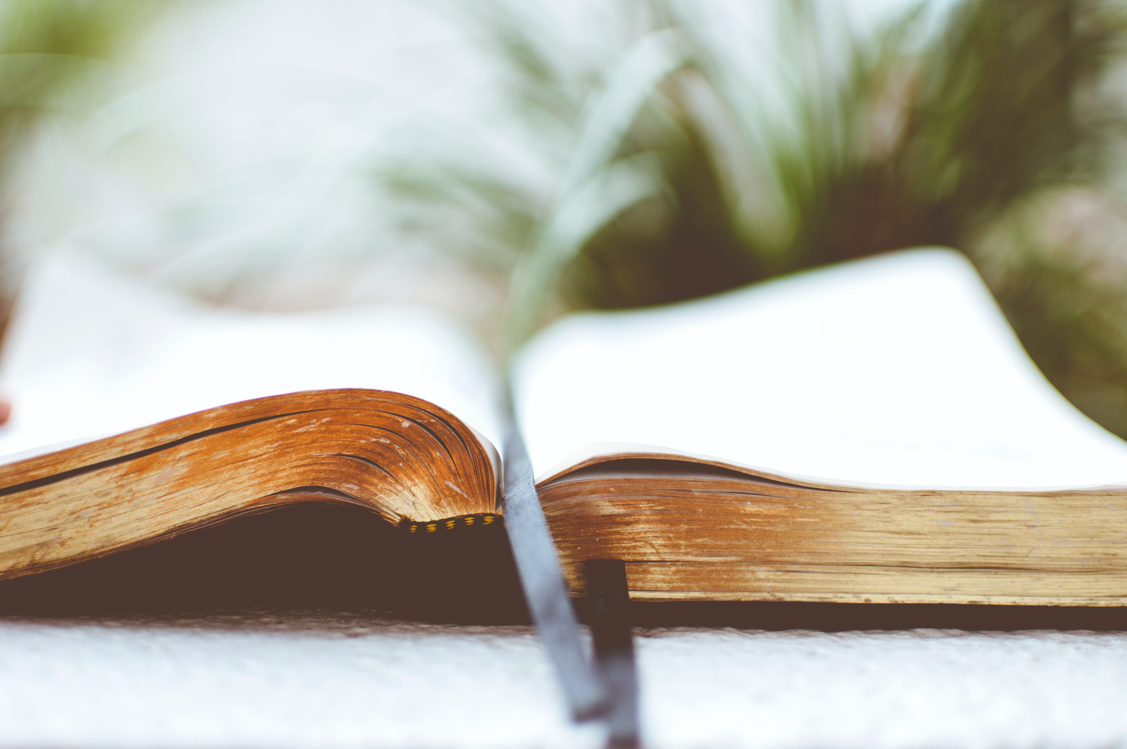 From Atheist to Latter-day Saint! | Paul’s Conversion Story